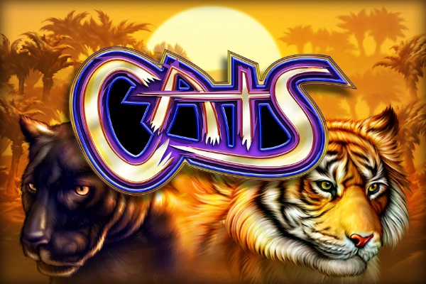 Cats at Mythoswin